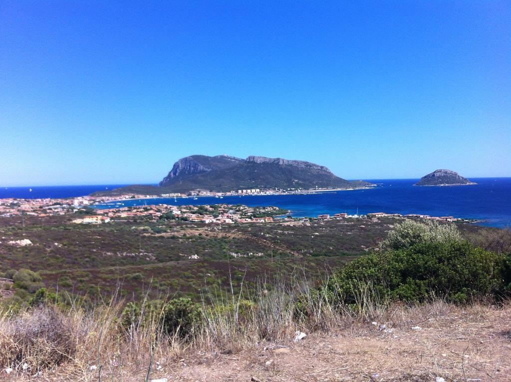 Sardegna - Villa Mirto & Flowers Olbia Exterior photo